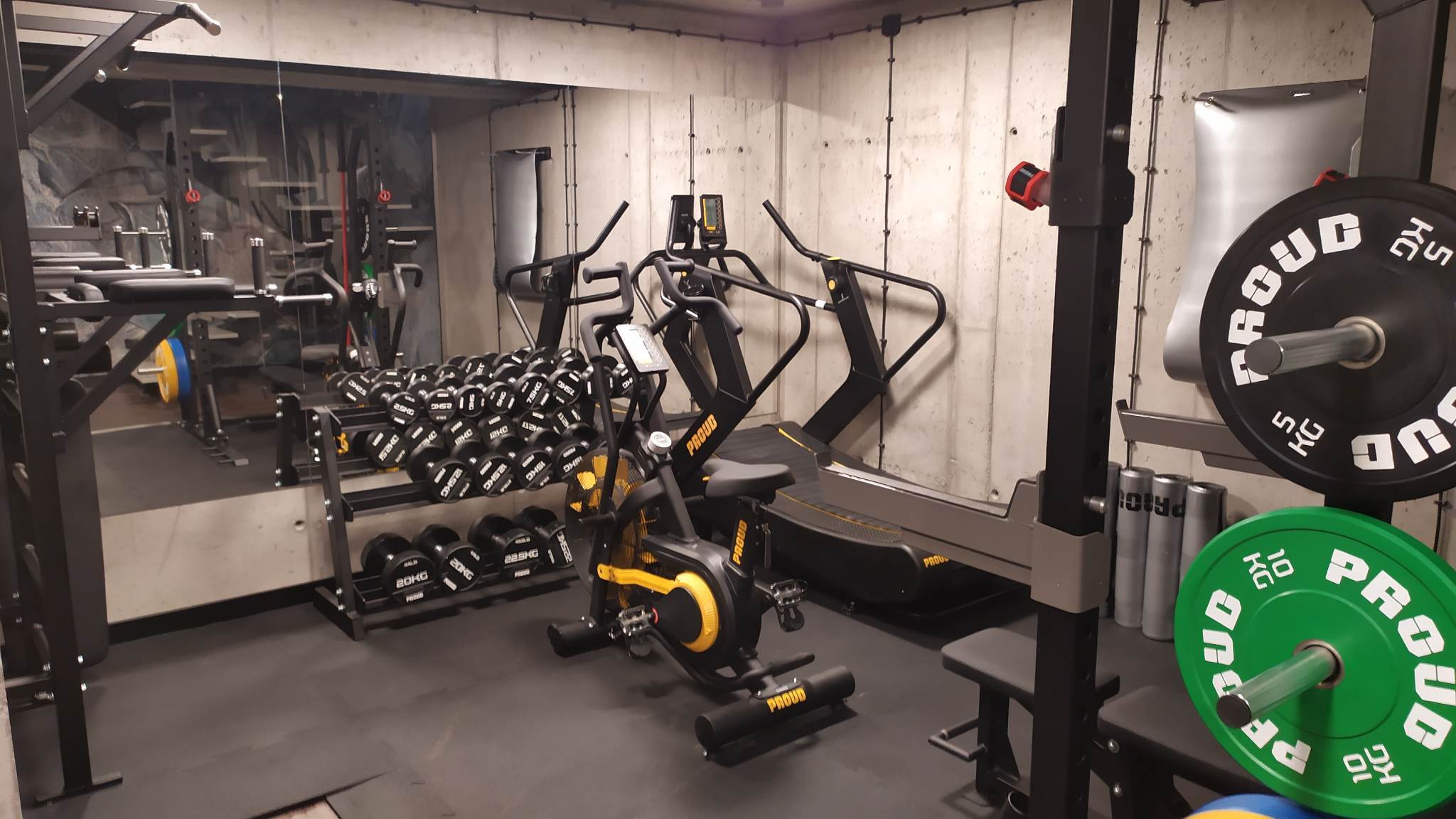 domowa siłownia janowiec2