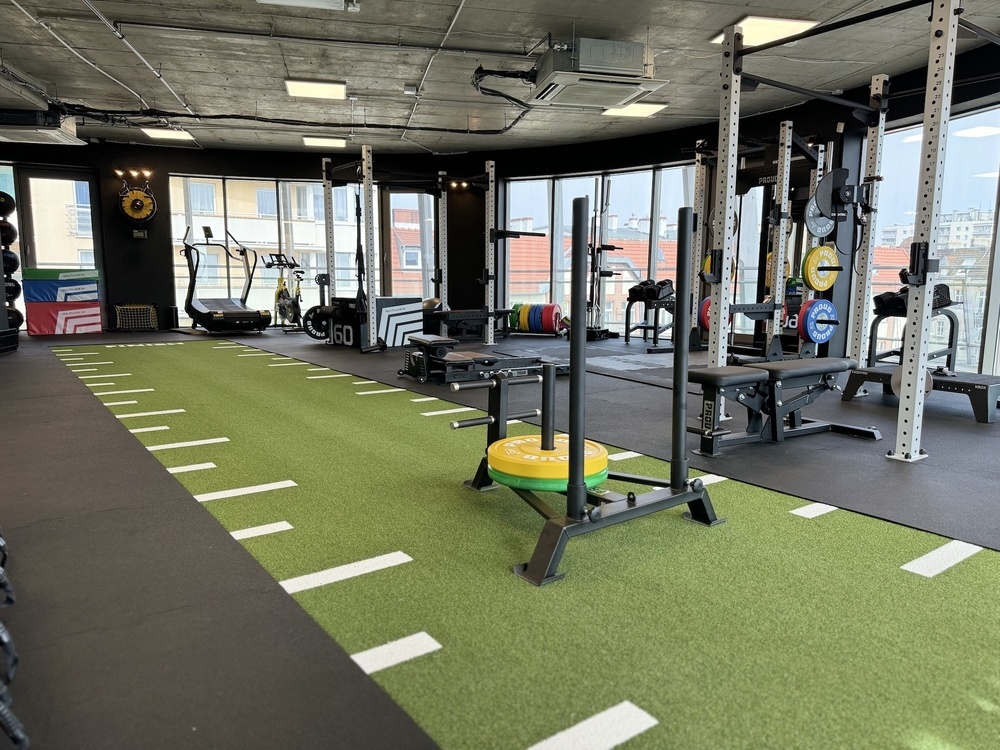 kinein poznań13-kopia-1