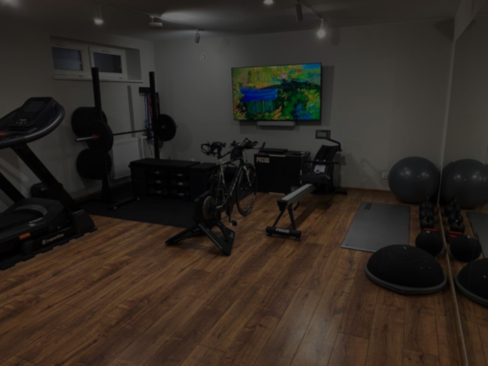 siłownia w piwnicy panufnik ciemne